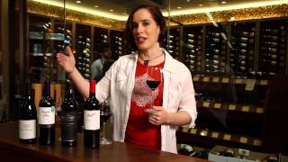 Pinot Noir Merlot Cabernet Sauvignon Shiraz Syrah  Red Wine Guide [upl. by Nnylarak839]