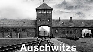 Reportage Auschwitz Camp De La Mort [upl. by Acsot262]