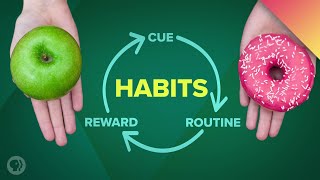 How Habits Can Change Your Life and Your Brain [upl. by Sesilu]