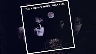 Sisters of Mercy  This Corrosion single version [upl. by Nive]