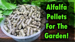 Alfalfa Pellets As Fertilizer For Your Garden [upl. by Faux]