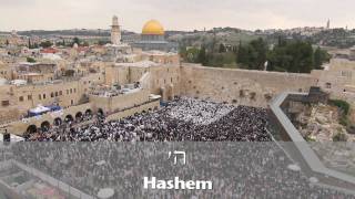 Birkat Kohanim Priestly Blessing at the Kotel in Jerusalem 5771 2011 [upl. by Lohse622]