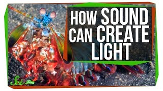 Sonoluminescence When Sound Creates Light [upl. by Ahsienyt]