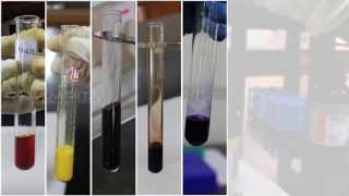 Butanoic Acid  Ethanol  Ester Reaction with Mechanism [upl. by Annaxor]