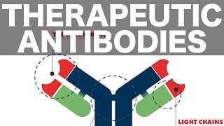 Therapeutic Monoclonal Antibodies [upl. by Lairbag]