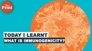 What is immunogenicity of vaccines [upl. by Nahtahoj617]