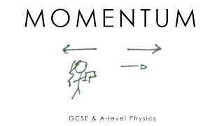 Momentum  GCSE amp Alevel Physics full version [upl. by Boru876]