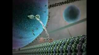 Kinesin protein walking on microtubule [upl. by Warenne]