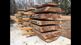 Felling and milling a sweet gum tree [upl. by Amie14]