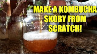 HOW TO MAKE YOUR OWN KOMBUCHA SCOBY EASY [upl. by Encrata]