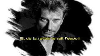 johnny hallyday excuse moi partenaire karaoke [upl. by Aikenat377]