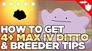 How to Catch a PERFECT Ditto  MAX IVs  in Pokemon Sun and Moon  Austin John Plays [upl. by Alimhaj]