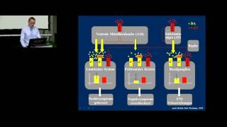 Schizophrene Psychosen Phänomenologie  Ätiologie  Neurobiologie Teil 2 [upl. by Einalam]