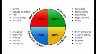 The 4 DISC Personalities [upl. by Amalle]