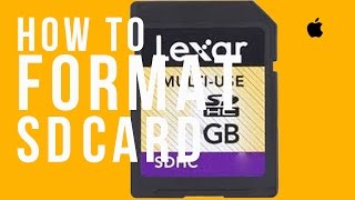 LEXAR sd card basic set up guide How to format in Mac and Windows [upl. by Santa]